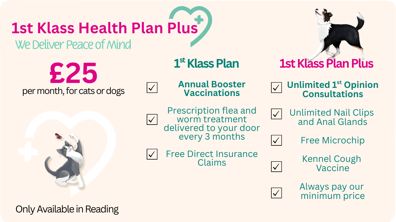 Health Plan Plus