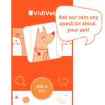VidiVet ask anything